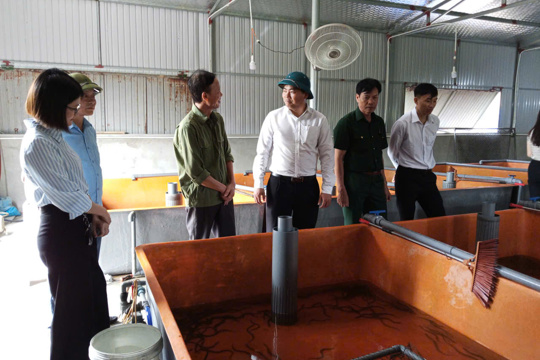 Phát huy hiệu quả các mô hình kinh tế trên địa bàn xã Thạch Lạc 
