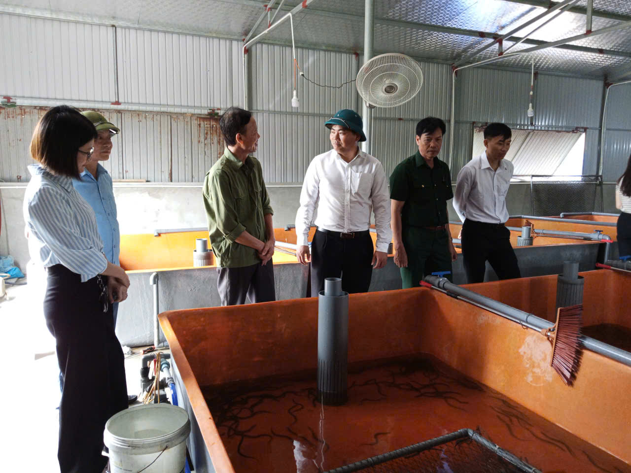 Phát huy hiệu quả các mô hình kinh tế trên địa bàn xã Thạch Lạc