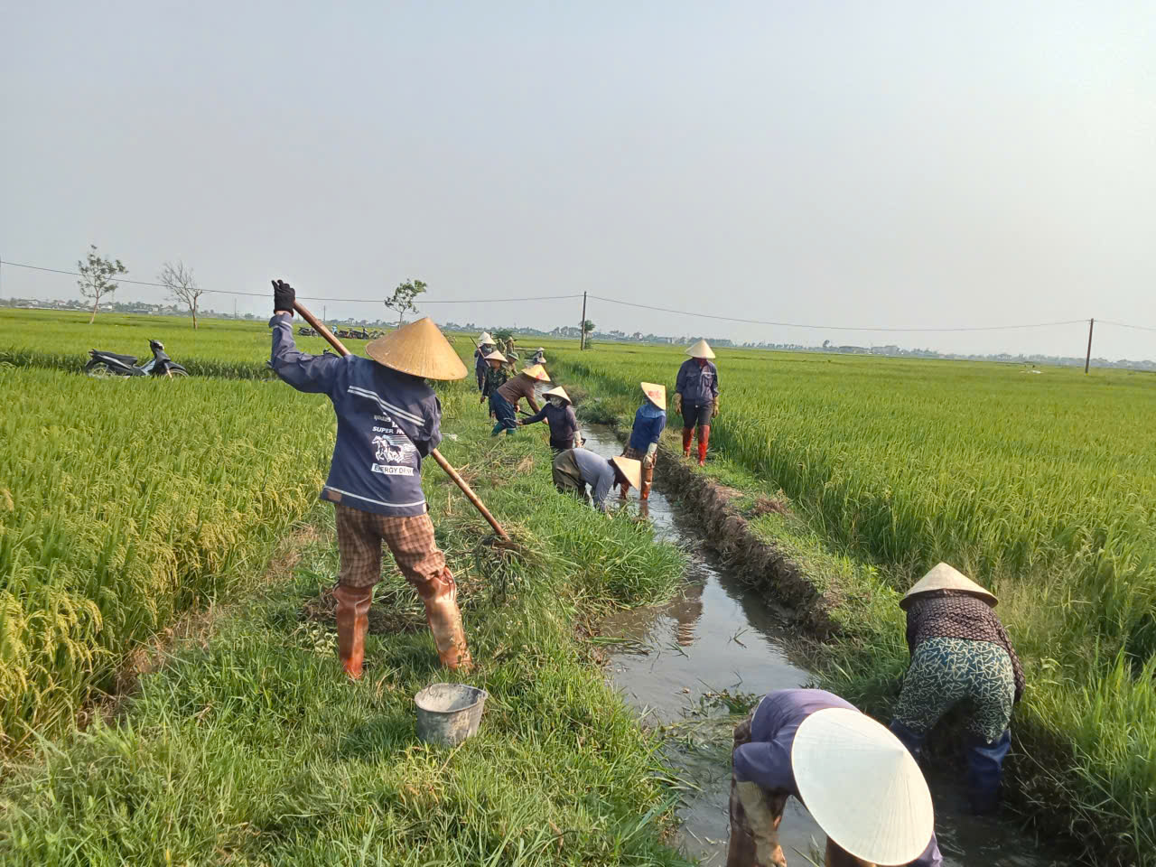 XÃ THẠCH LẠC RA QUÂN NẠO VÉT KÊNH MƯƠNG PHỤC VỤ SẢN XUẤT VỤ HÈ THU NĂM 2026
